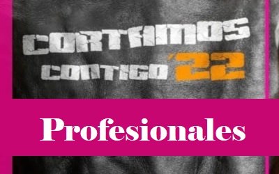 Profesionales CC 2022